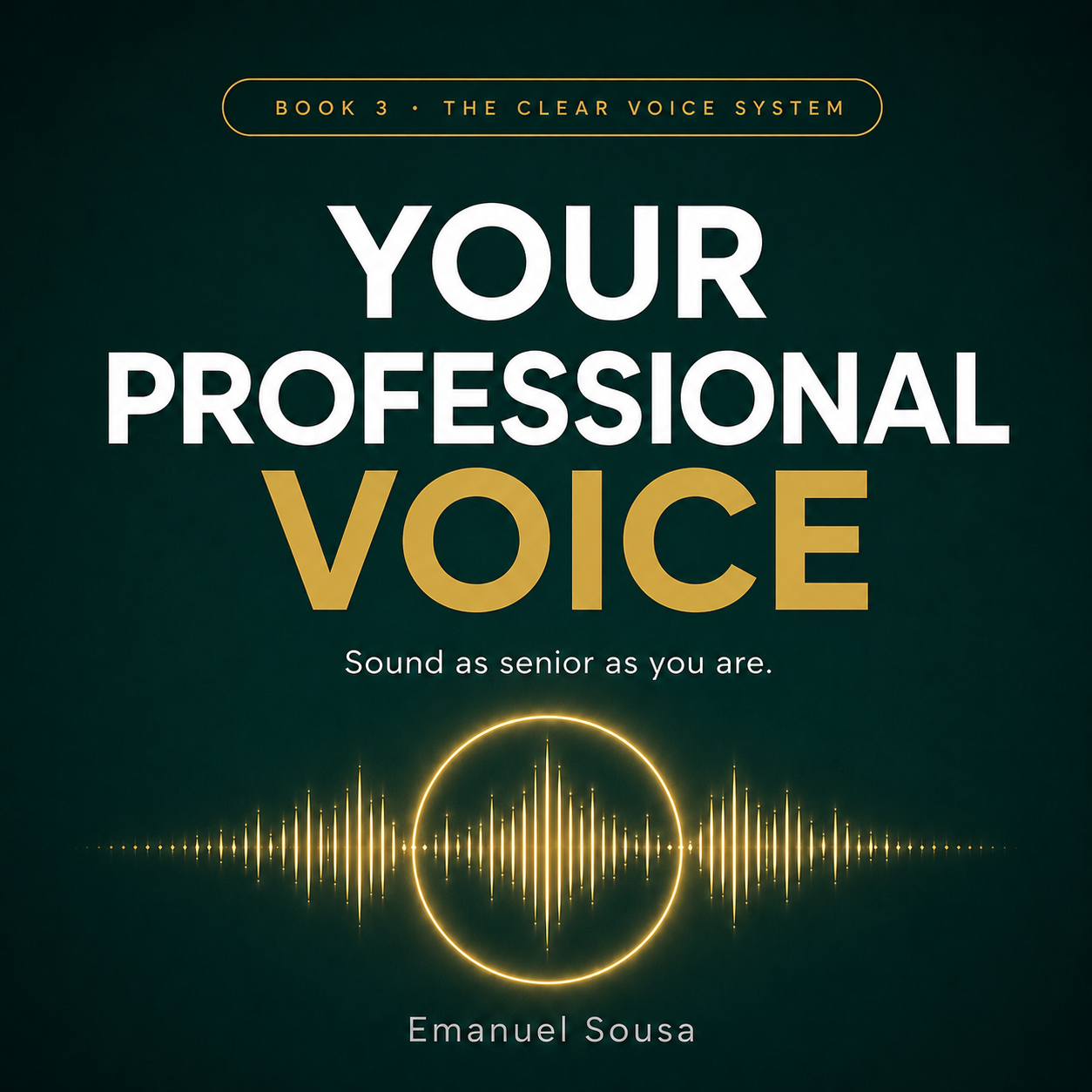 Your Professional Voice — Book 3 cover